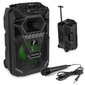Fenton FPC8T accu speaker 100W met Bluetooth