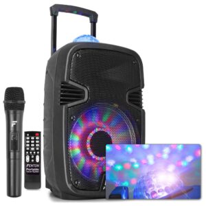 Fenton FT12JB accu karaoke speaker 700W 12" met LED lichteffecten ~ Spinze.nl