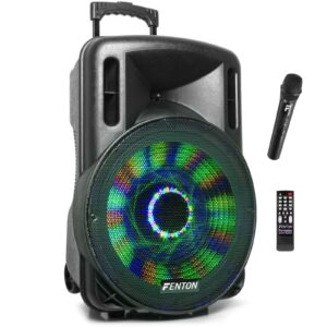 Fenton FT15LED karaoke speaker 800W 15" met LED verlichting ~ Spinze.nl