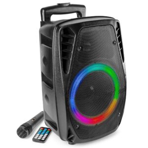 Fenton FT8LED-MK2 accu speaker met Bluetooth - 300W ~ Spinze.nl