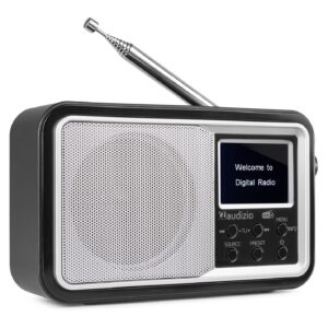 Retourdeal - Audizio Parma draagbare DAB radio met Bluetooth en FM ~ Spinze.nl