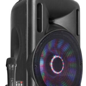 Retourdeal - Fenton FT10LED karaoke speaker 450W 10" met LED ~ Spinze.nl