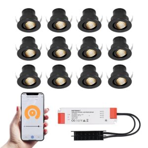 HOFTRONIC SMART 12x Medina zwarte Smart LED Inbouwspots complete set - Wifi & Bluetooth - 12V - 3 Watt - 2700K warm wit ~ Spinze.nl
