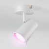 HOFTRONIC SMART Riga Smart LED plafondspot Wit - Draaibaar en Dimbaar - GU10 Plafondlamp RGBWW WiFi + Bluetooth - opbouw spot voor woonkamer en gang - Google Home & Amazon Alexa ~ Spinze.nl