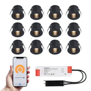 HOFTRONIC™ 12x Betty zwarte Smart LED Inbouwspots complete set - Wifi & Bluetooth - 12V - 3 Watt - 2700K warm wit ~ Spinze.nl