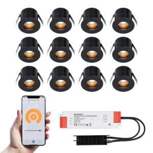 HOFTRONIC™ 12x Olivia zwarte Smart LED Inbouwspots complete set - Wifi & Bluetooth - 12V - 3 Watt - 2700K warm wit ~ Spinze.nl