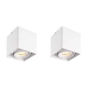 HOFTRONIC™ 2x Dimbare LED opbouw plafondspot Esto Wit incl. GU10 spot 5W 2700K IP20 kantelbaar ~ Spinze.nl