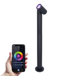 HOFTRONIC™ Amy smart sokkellamp - RGBWW - WiFi & Bluetooth - GU10 lichtbron - 60 cm - Padverlichting - Tuinspot - Voor buiten - Dimbaar via app - Kantelbaar - Google Assistant & Amazon Alexa - Zwart ~ Spinze.nl