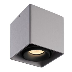 HOFTRONIC™ Dimbare LED Opbouwspot plafond Esto Grijs met zwarte afdekring IP20 kantelbaar excl. GU10 lichtbron ~ Spinze.nl