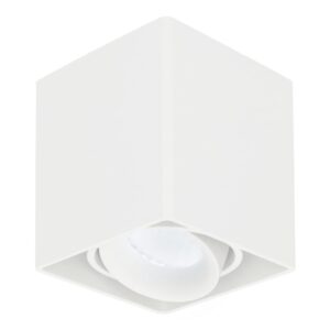 HOFTRONIC™ Dimbare LED Opbouwspot plafond Esto Wit incl. GU10 spot 5W 6000K IP20 kantelbaar ~ Spinze.nl
