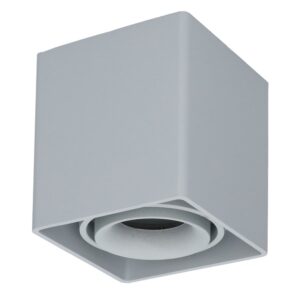 HOFTRONIC™ Dimbare LED opbouw plafondspot Esto GU10 Grijs IP20 kantelbaar excl. lichtbron ~ Spinze.nl