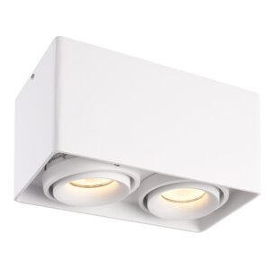 HOFTRONIC™ Dimbare LED opbouw plafondspot Esto Wit 2 lichts IP20 kantelbaar excl. lichtbron ~ Spinze.nl