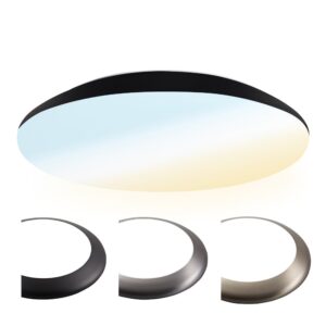 HOFTRONIC™ LED Bulkhead 38 cm - Plafondlamp - Wandarmatuur -25W 2600 Lumen - CCT lichtkleur instelbaar - IK10 - Zwart - IP65 Waterdicht ~ Spinze.nl