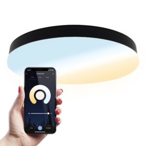 HOFTRONIC™ Lumi - 16W Slimme plafondlamp badkamer zwart - IP54 waterdicht - Smart Home WiFi + BLE - 2700K-6500K White Ambiance - Ø30 cm - LED Plafonniere ~ Spinze.nl