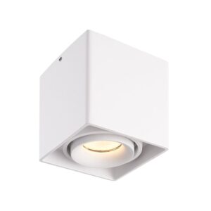 Hofronic Dimbare LED opbouw plafondspot Esto Wit incl. GU10 spot 5W 2700K IP20 kantelbaar ~ Spinze.nl