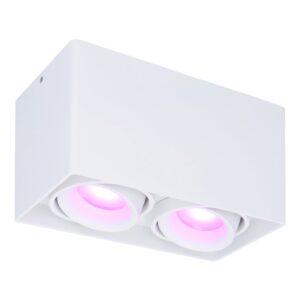 Hofronic Smart WiFi LED opbouw plafondspot Esto 2 lichts Wit incl. 2x 5