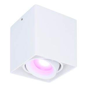 Hofronic Smart WiFi LED opbouw plafondspot Esto Wit incl. 5