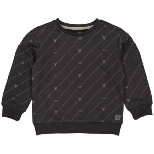 LEVV Little Jongens sweater - Gerben - AOP Levv raaf grijs ~ Spinze.nl