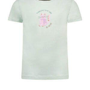 Moodstreet Meisjes t-shirt print - Minty ~ Spinze.nl