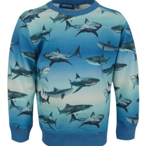 Someone Jongens sweater - Wally-SB-16-C - Blauw ~ Spinze.nl