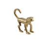 Aap Jewel S goud | Countryfield