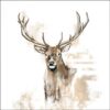 Ambiente Servet 33cm Antlers FSC Mix | Ambiente