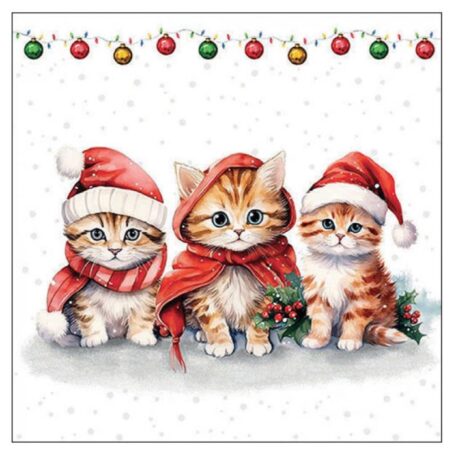 Ambiente Servetten 33cm Funny kittens | Ambiente