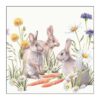 Ambiente Servetten Carrot treat 25x25cm | Ambiente