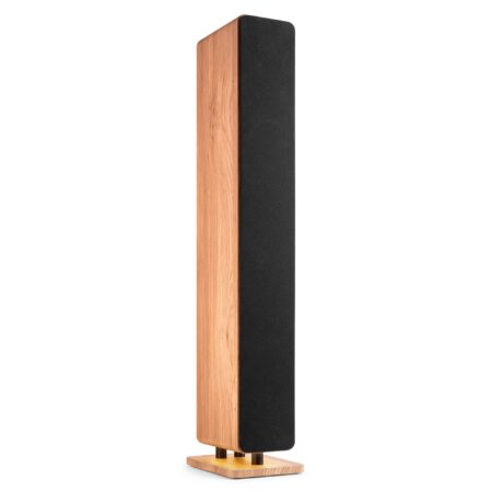 Audizio Arco HiFi speaker met DAB radio - Vloerstaande speaker met 4 | Audizio