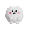 BT21 RJ Baby Pong Pong 8 cm | BT21