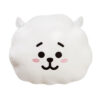 BT21 RJ kussen 32 cm | BT21