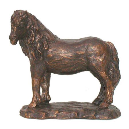 Beeld Pony kijkt naar links |