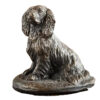 Beeld Spaniel HR |