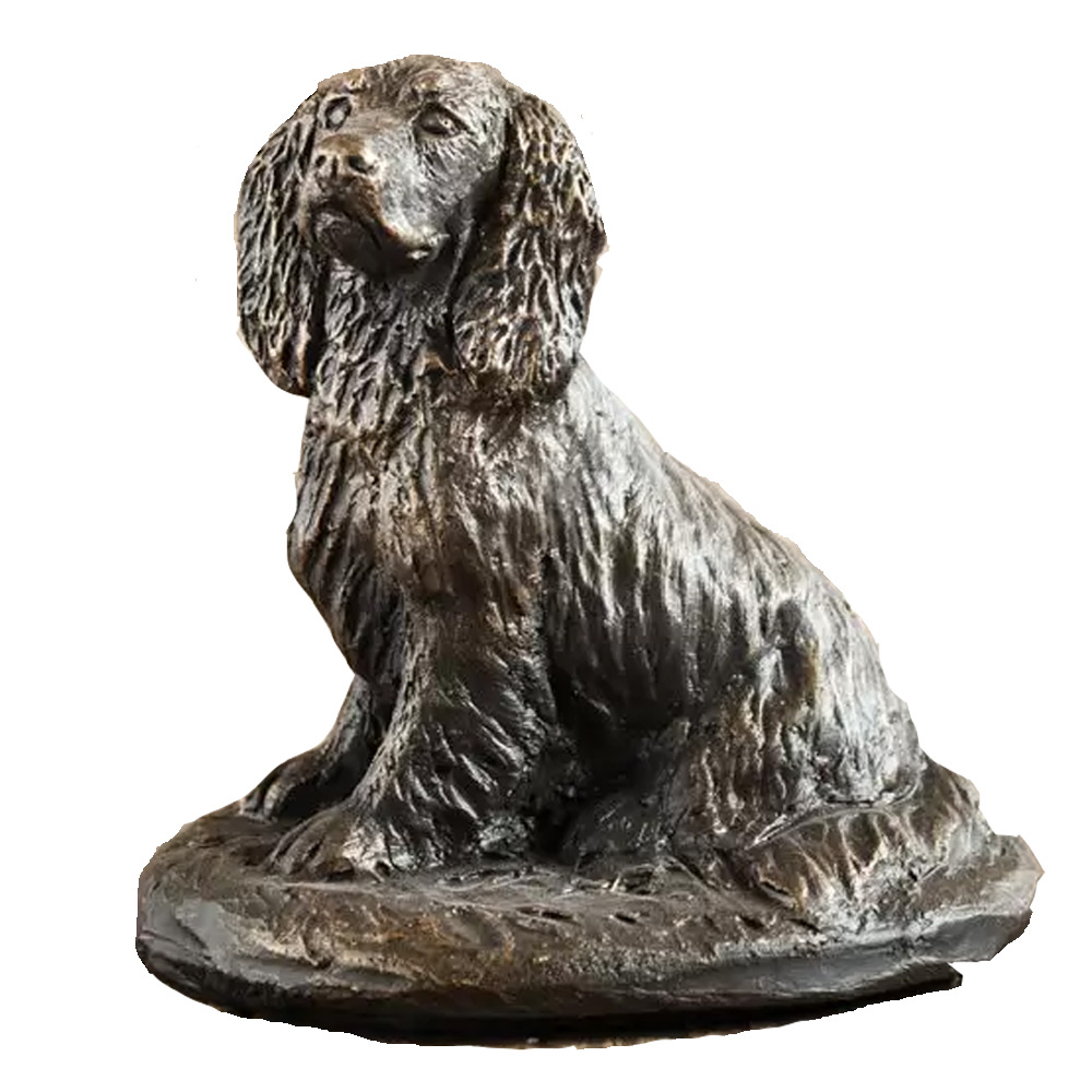 Beeld Spaniel HR |