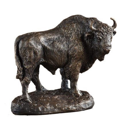 Beeld Wisent HR |