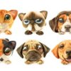 Big Face geprinte dieren XL | Toi-Toys