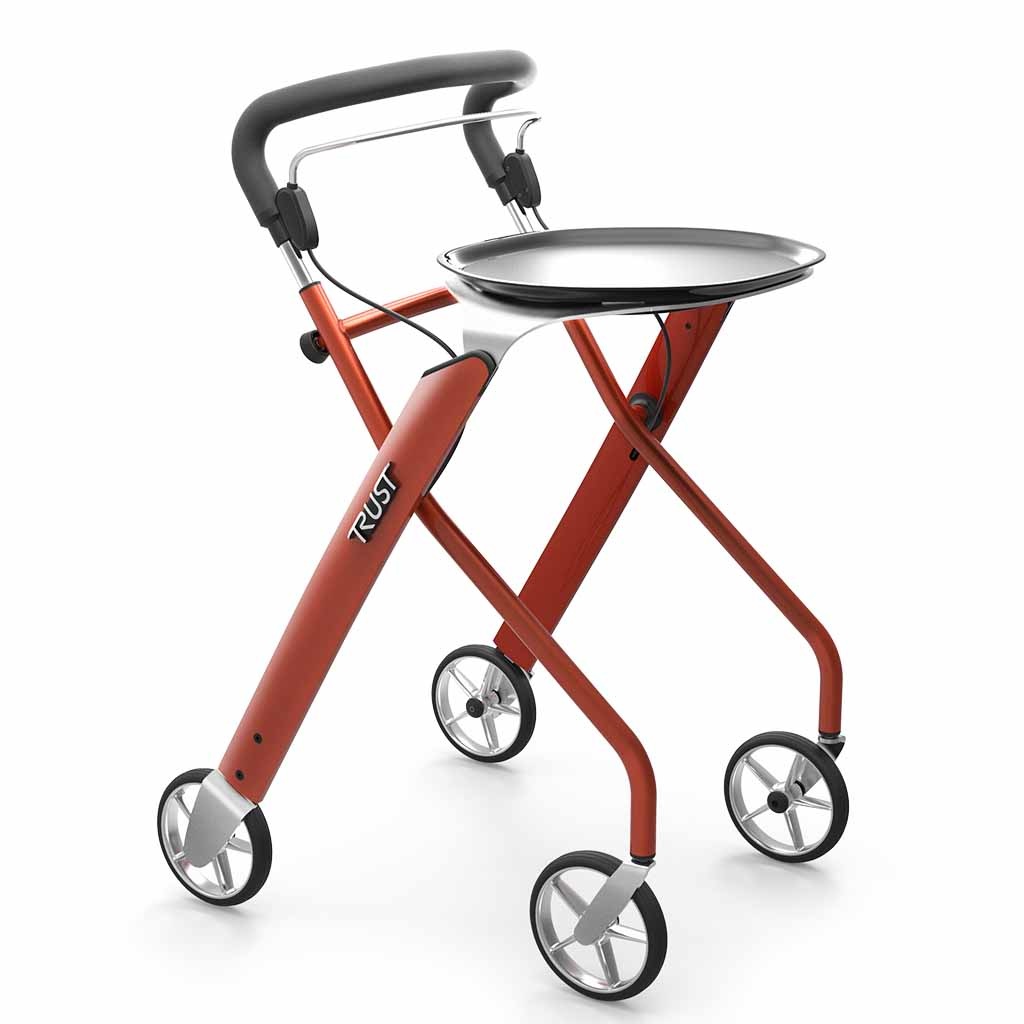 Binnenrollator Let's Dream (6