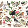 Birds in my Garden puzzel 1000 stukjes | The House of Puzzles