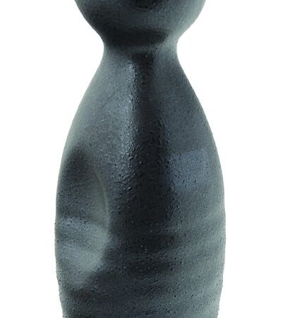 Blauw/Zwarte Sake Fles - 140ml | Tokyo Design Studio