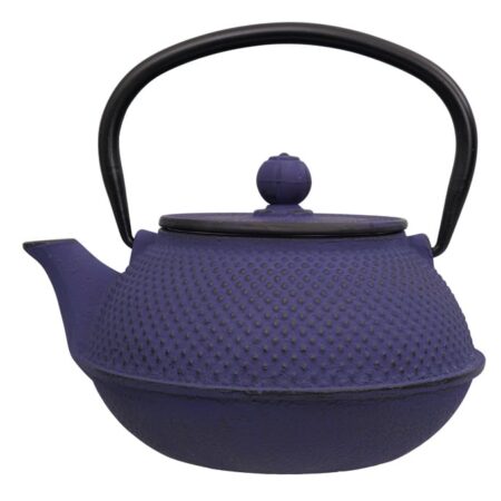 Blauwe Gietijzeren Theepot - 800ml - 17.5 x 15 x 10cm | Tokyo Design Studio