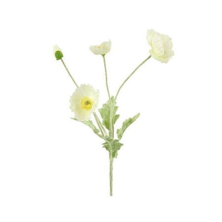 Bloem Cosmos wit -2 |