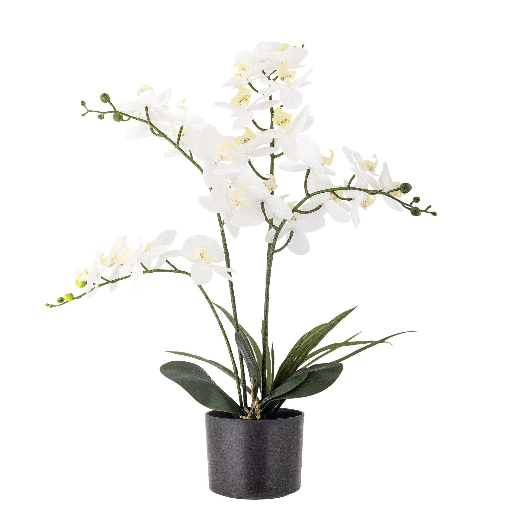 Bloomingville Kunstbloem Orchid 84cm hoog - Wit | Bloomingville