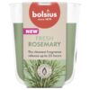 Bolsius Geurglas 80/73 True Scents Rosemary | Bolsius