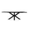 Boomstam tafel met spinpoot zwart |