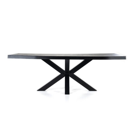 Boomstam tafel met spinpoot zwart |