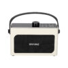 Brainz - Retro Clock Speaker | Brainz