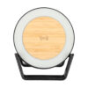 Brainz - Wheatstraw LED Charger Speaker | Brainz