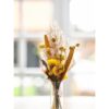 Brievenbuspakket Droogbloemen 36x3cm | Dijk Natural Collections