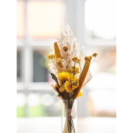 Brievenbuspakket Droogbloemen 36x3cm | Dijk Natural Collections