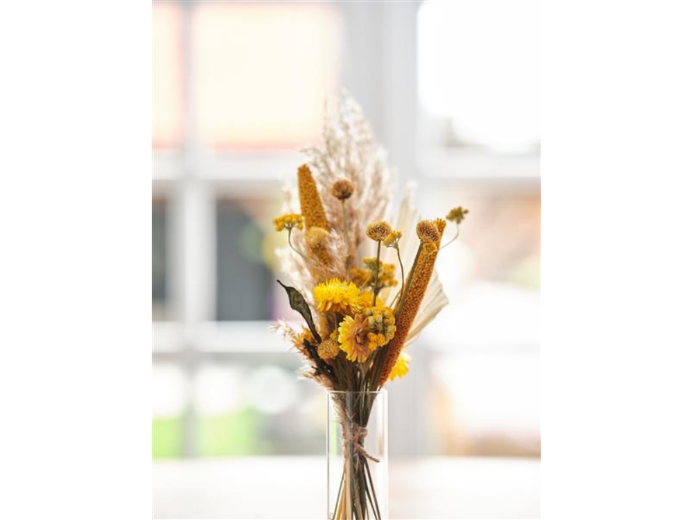 Brievenbuspakket Droogbloemen 36x3cm | Dijk Natural Collections